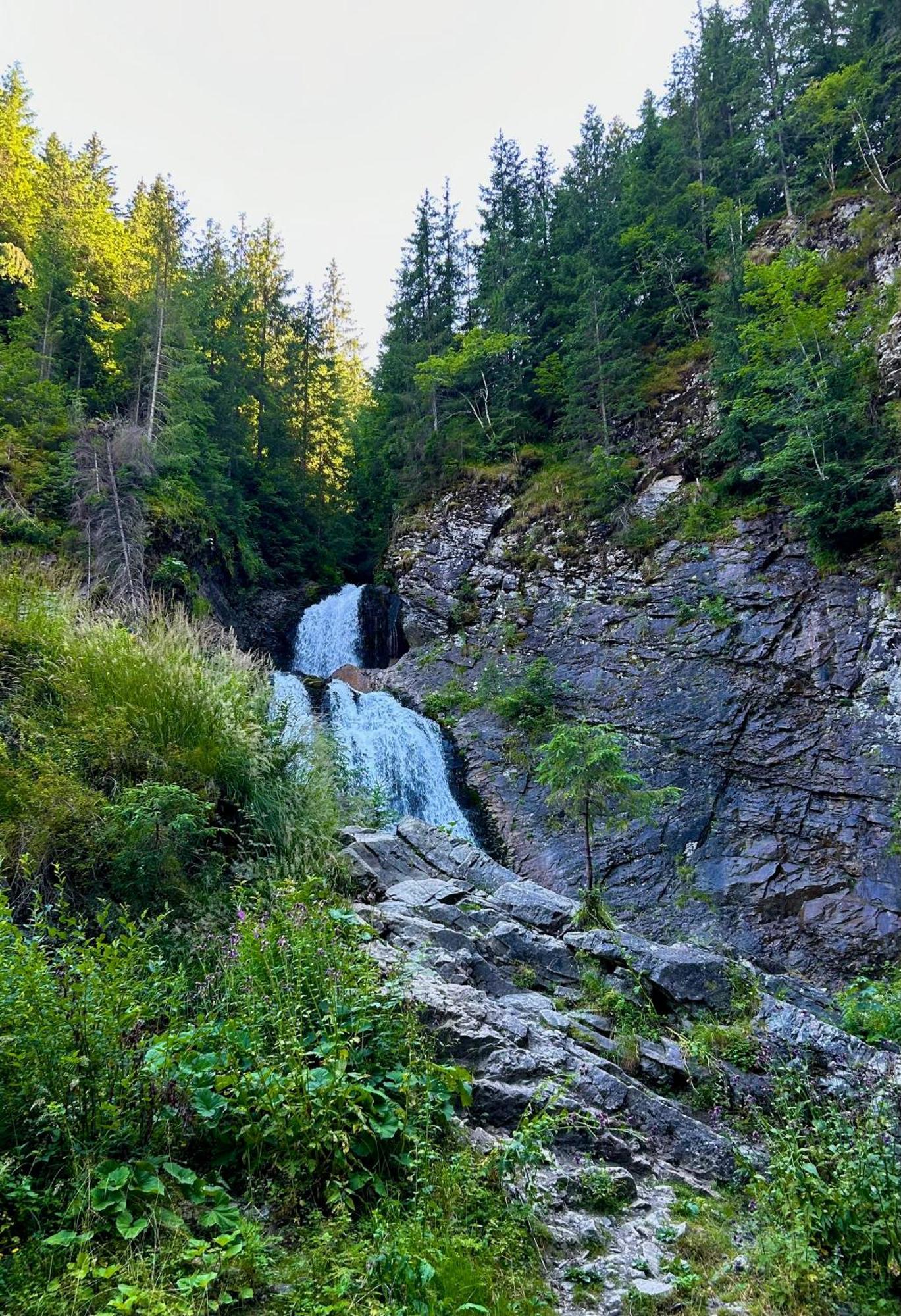 Pensiunea Dariana Scrind-Frasinet Bagian luar foto
